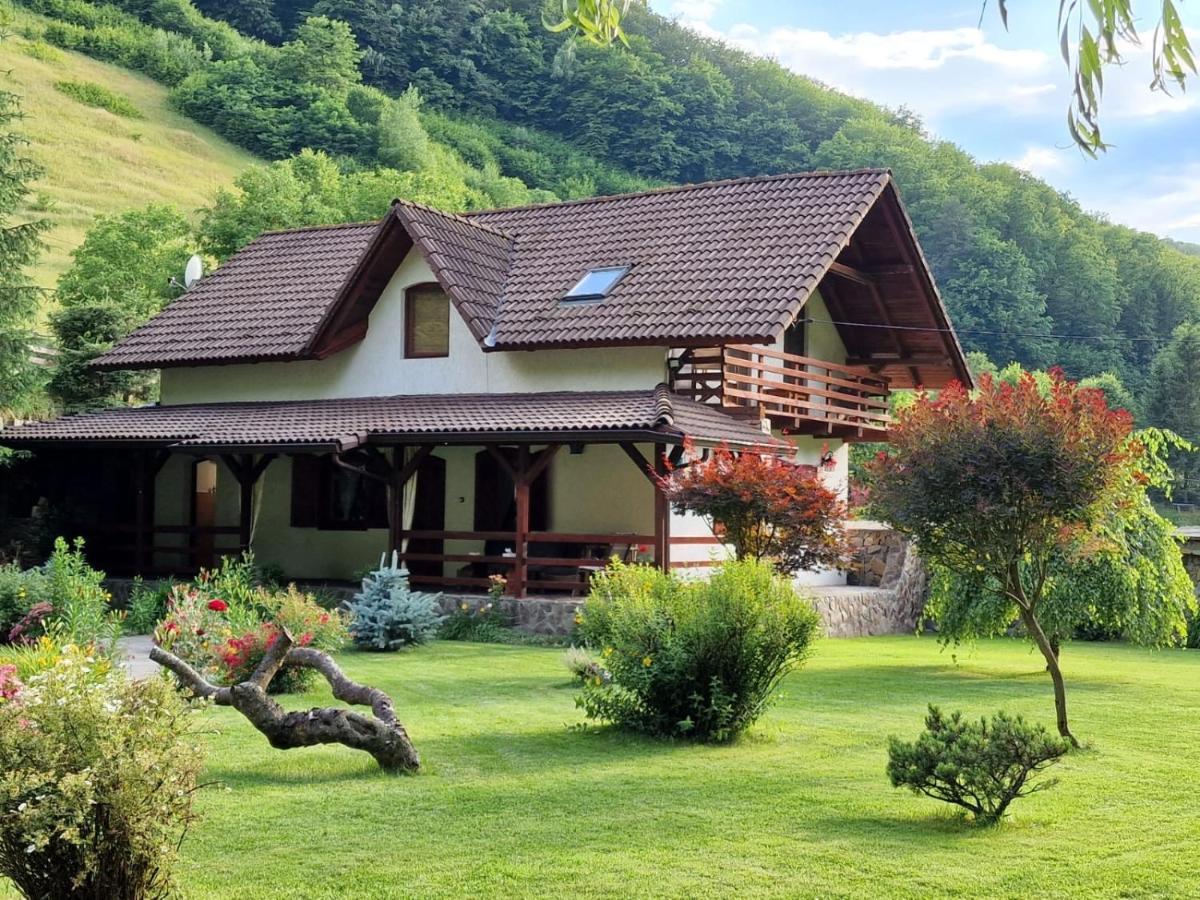 Casa De Piatra Villa Strungari Exterior photo