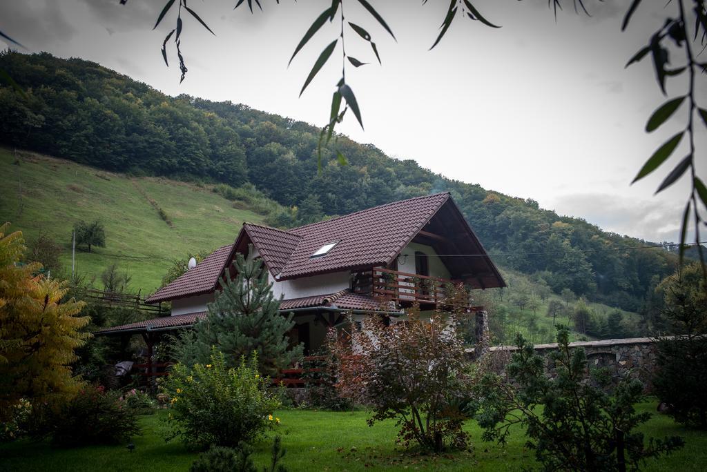 Casa De Piatra Villa Strungari Exterior photo